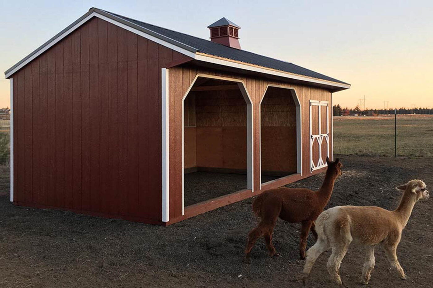 animal shelters for sale in circle, mt