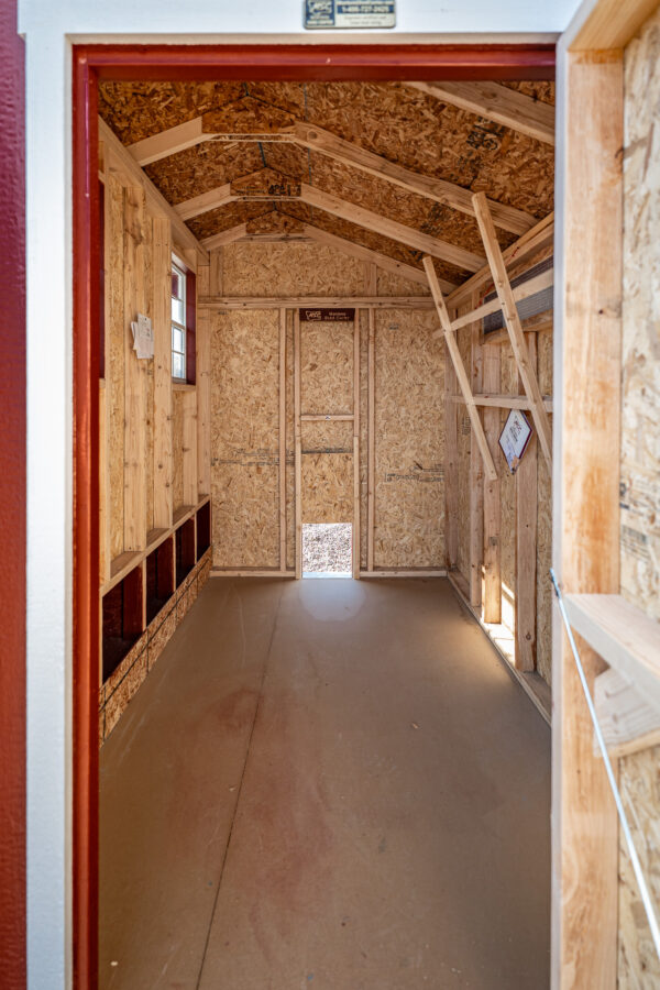 walk in chicken coop for 12 to 15 chickens