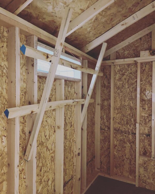 walk in chicken coop for 12 to 15 chickens